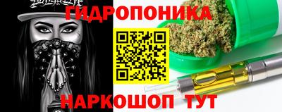 mdpv Гатчина