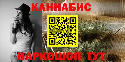 mdpv Гатчина