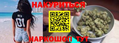 mdpv Гатчина