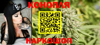 mdpv Гатчина