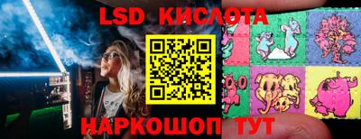 mdpv Гатчина