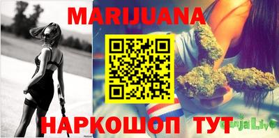 mdpv Гатчина