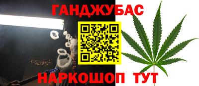 метадон Гай