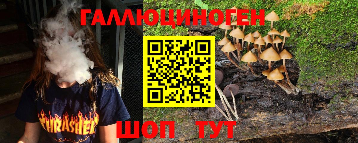 Галлюциногенные грибы мухоморы Нижнеудинск